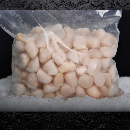 Ostion sin coral congelado kilo kilogramo Ostion pirata carne